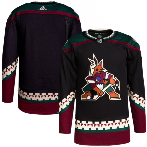 Men Arizona Coyotes Blank Black Stitched Jersey
