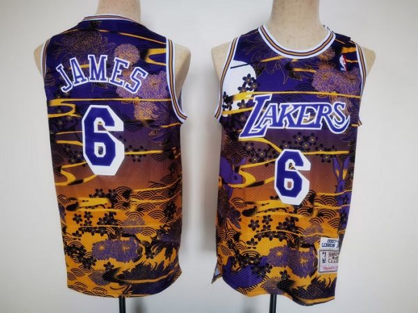 Men Los Angeles Lakers #6 LeBron James Purple Throwback basketball Jersey
