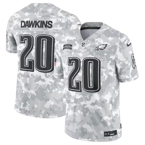 Men Philadelphia Eagles #20 Brian Dawkins 2024 Arctic Camo Salute to Service Limited Stitched Football Jersey